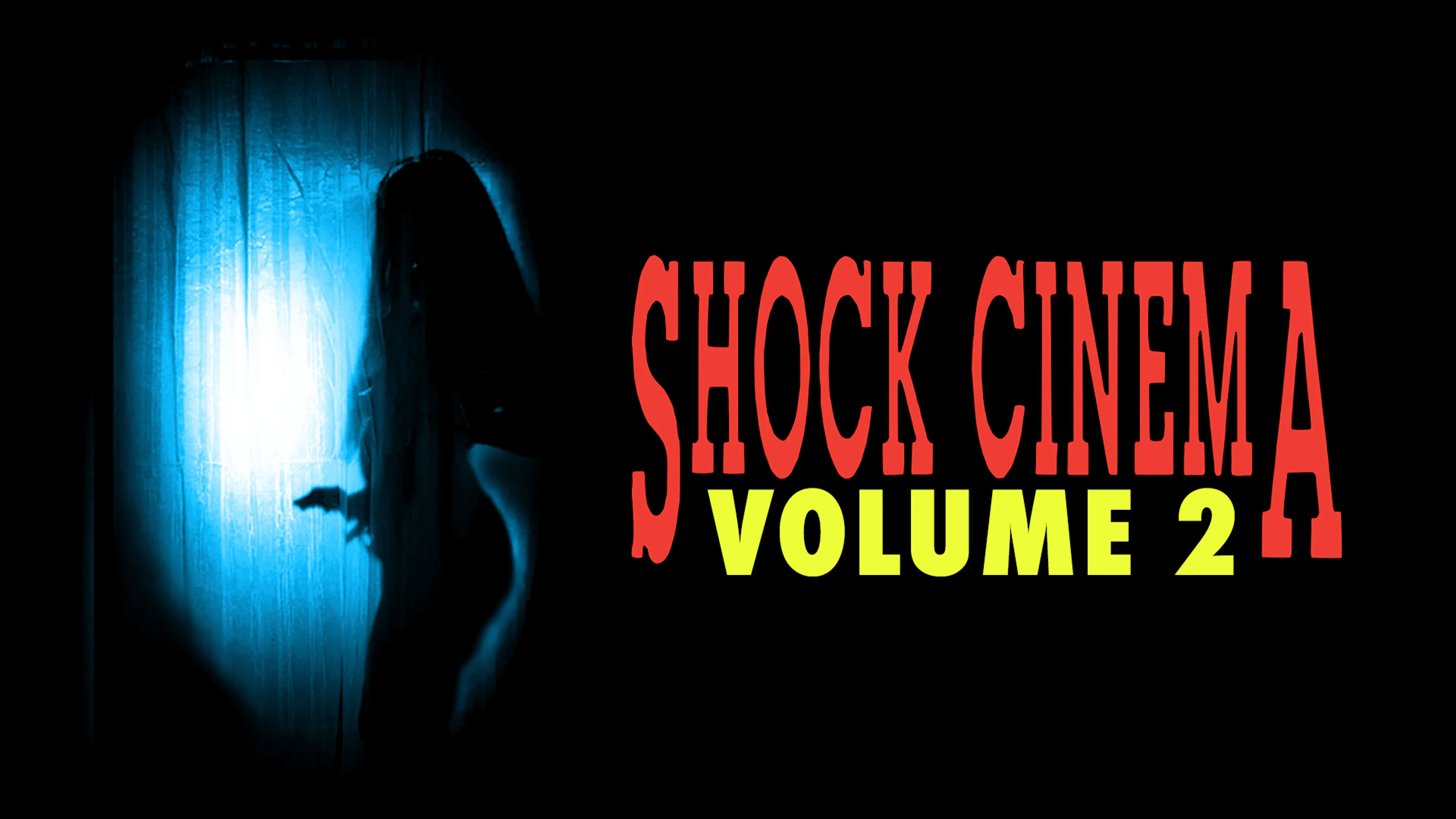 Shock Cinema: Volume 2 poster